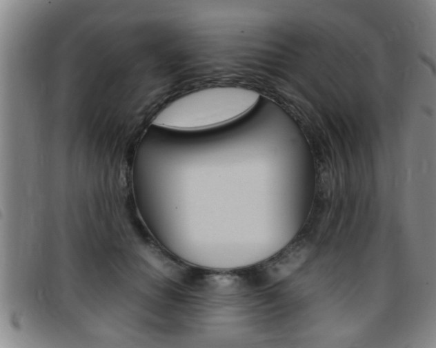 X0000097860654200803140857