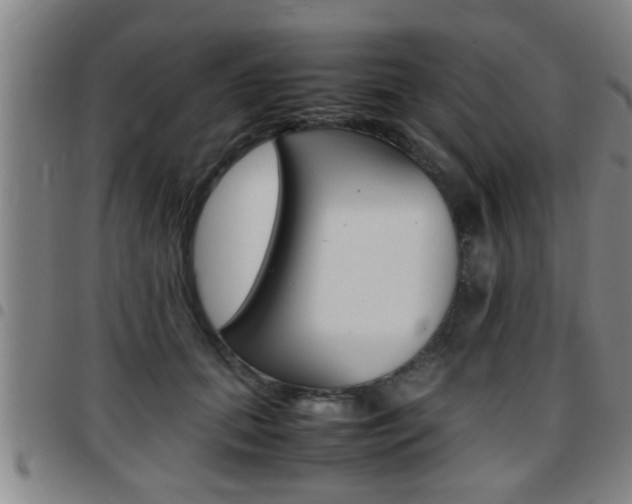 X0000097860655200803140857