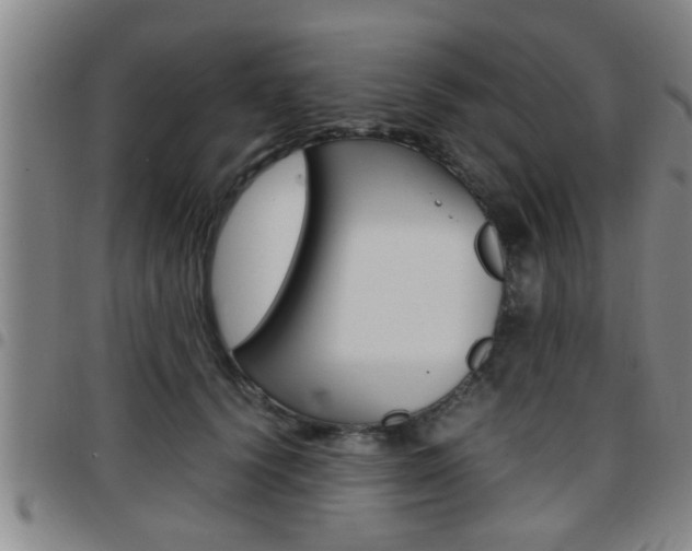 X0000097860656200803140857
