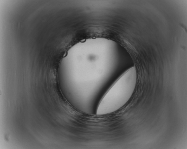 X0000097860661200803140857