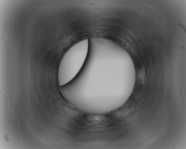 X0000097860663200803140857