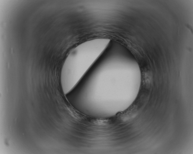 X0000097860664200803140857