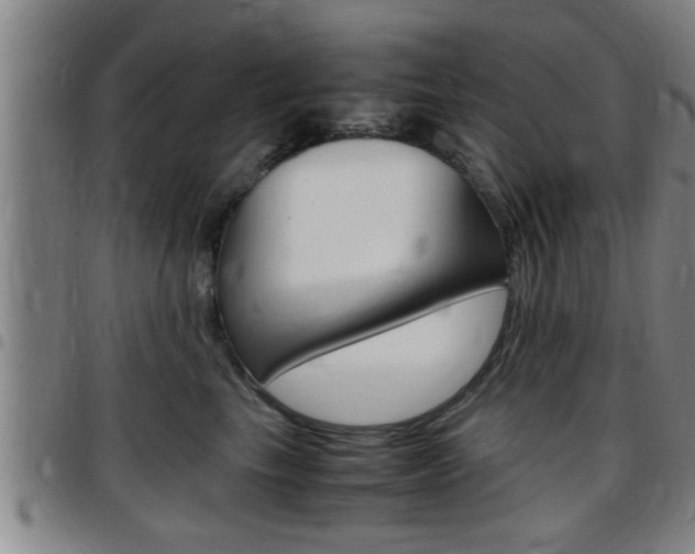 X0000097860665200803140857