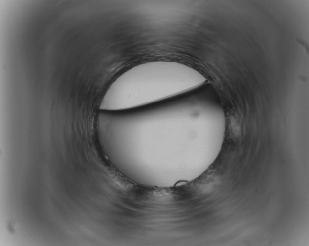 X0000097860668200803140857