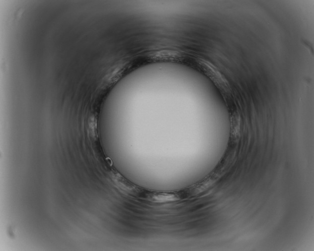 X0000097860669200803140857