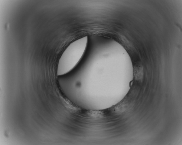 X0000097860670200803140857