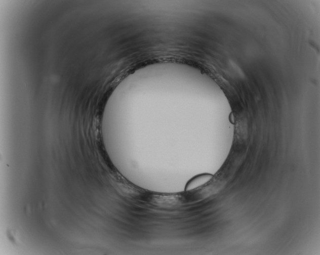 X0000097860671200803140858