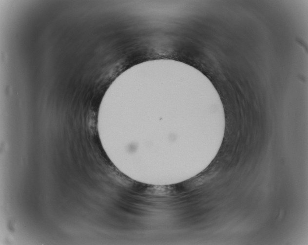 X0000097860672200803140858
