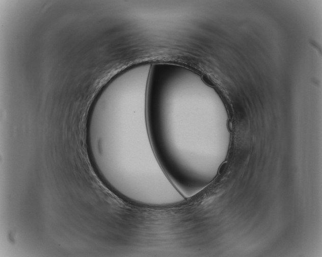 X0000097860673200803140857