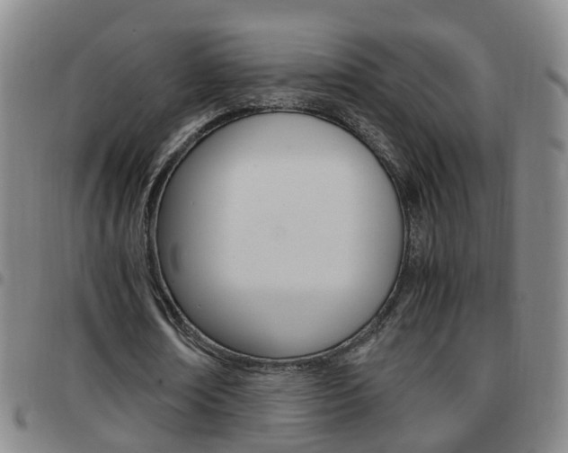 X0000097860674200803140857