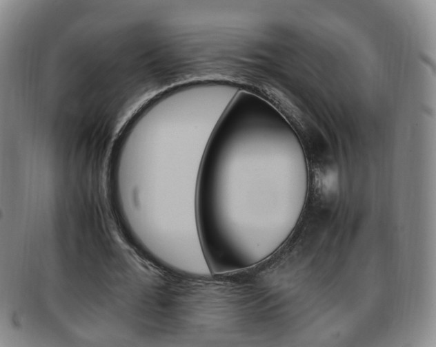 X0000097860676200803140857