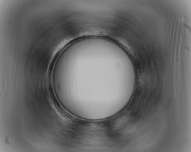 X0000097860678200803140857