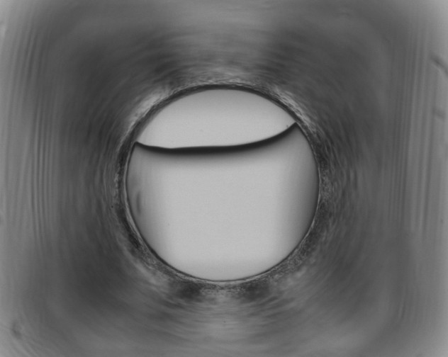 X0000097860679200803140857