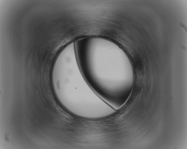 X0000097860681200803140857
