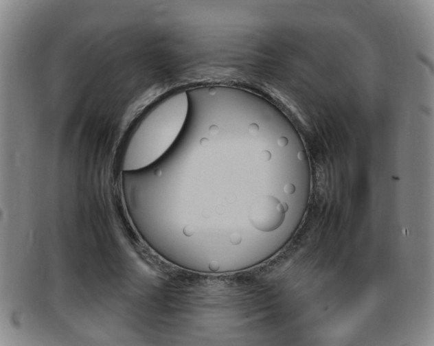 X0000097860682200803140857