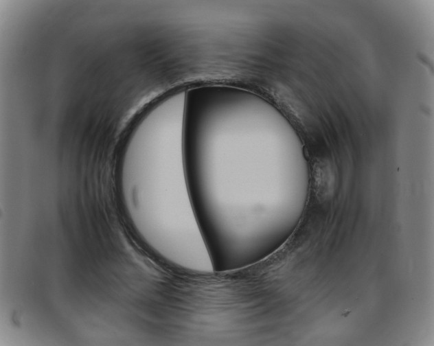 X0000097860684200803140857