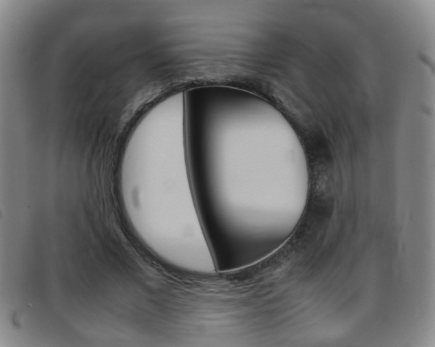 X0000097860685200803140857