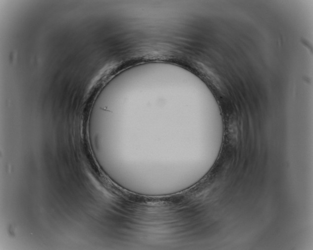 X0000097860686200803140857