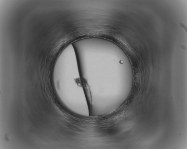 X0000097860687200803140857