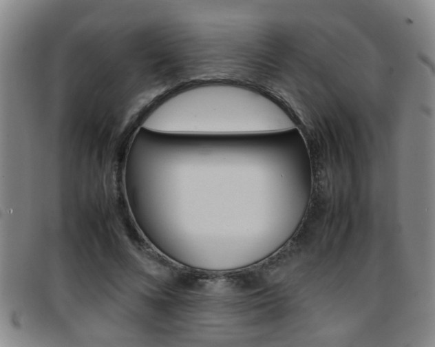 X0000097860688200803140856