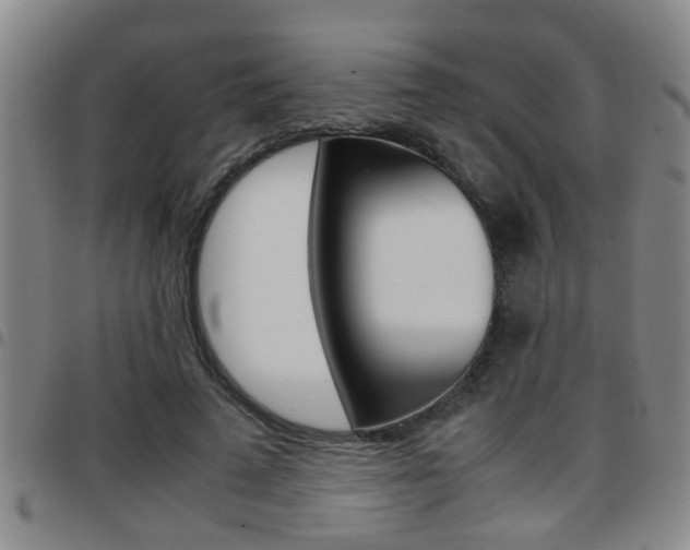 X0000097860689200803140856