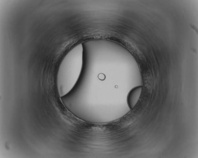 X0000097860690200803140856