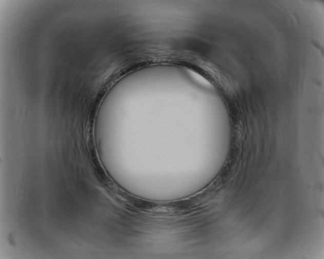 X0000097860691200803140856