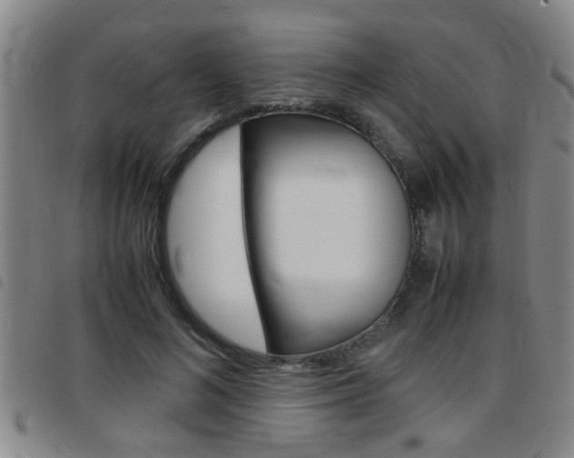 X0000097860692200803140856