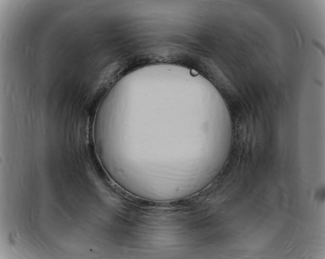 X0000097860694200803140856