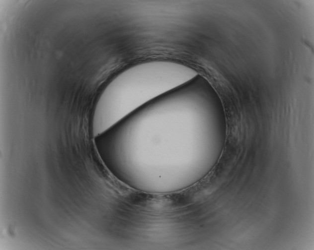 X0000097860696200803140856
