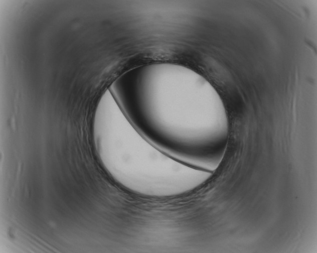 X0000097860697200803140856