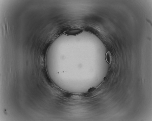 X0000097860699200803140856