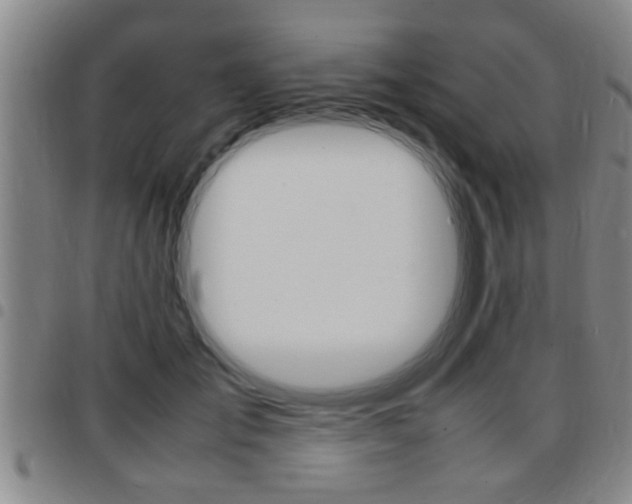 X0000097860701200803140856