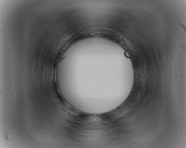 X0000097860702200803140856