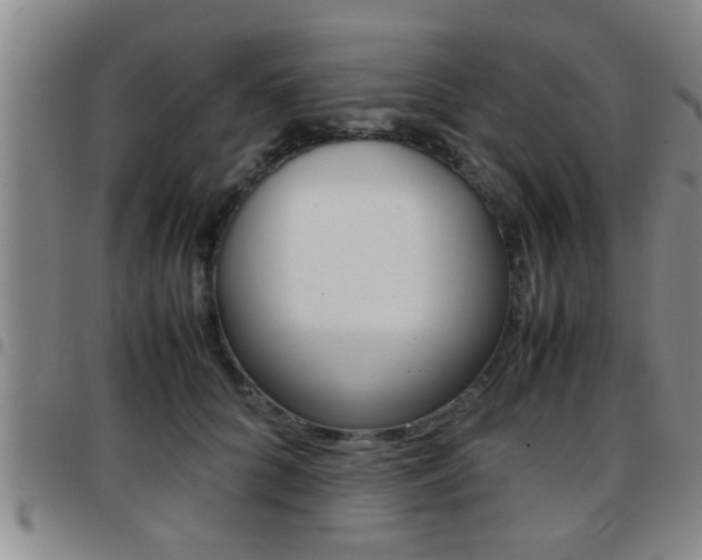 X0000097860704200803140856