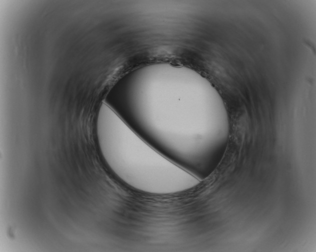 X0000097860708200803140856