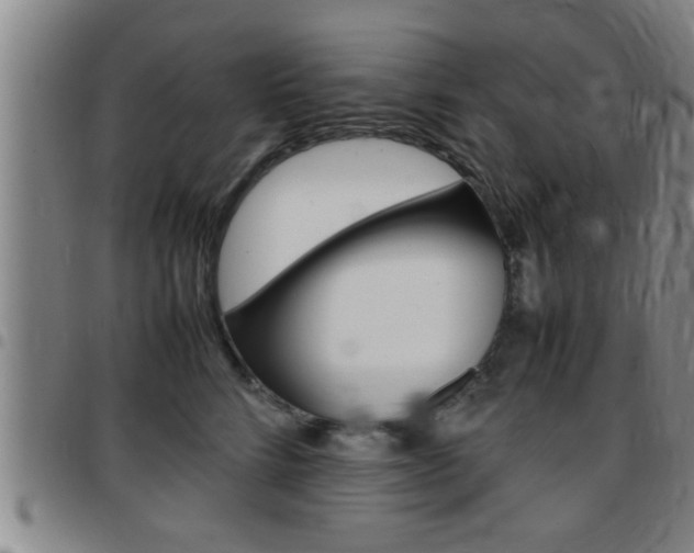 X0000097860712200803140856