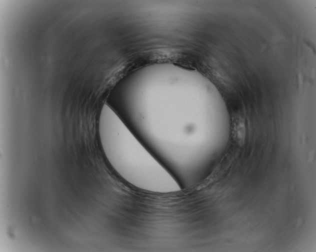 X0000097860716200803140856