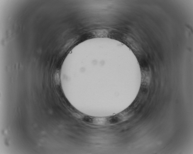 X0000097860717200803140856