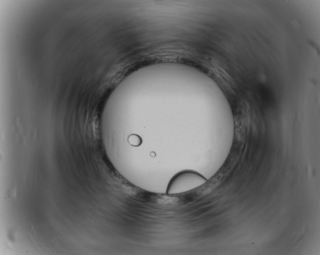 X0000097860718200803140856