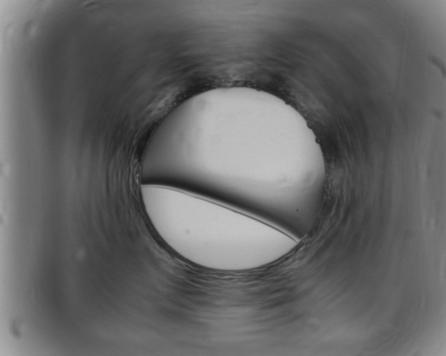 X0000097860719200803140856