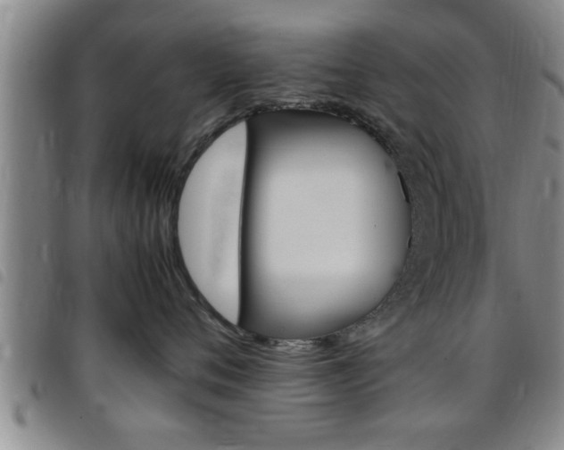 X0000097860720200803140856