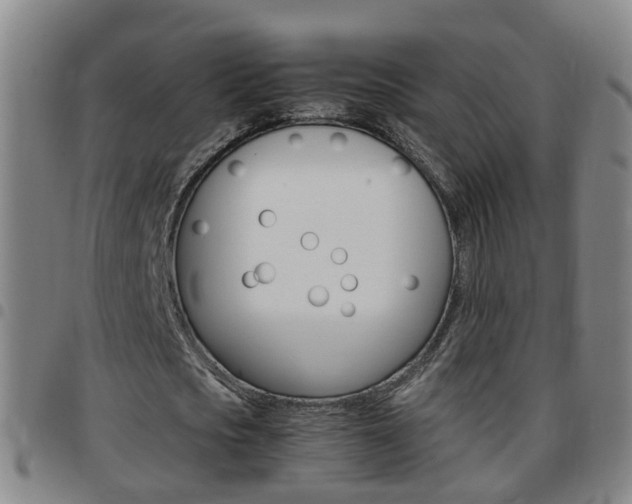 X0000097860721200803140855
