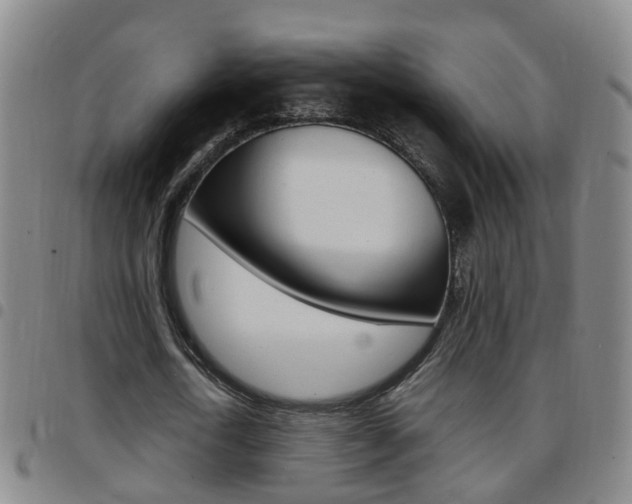 X0000097860722200803140855