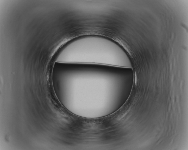 X0000097860723200803140855