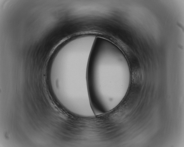 X0000097860724200803140855