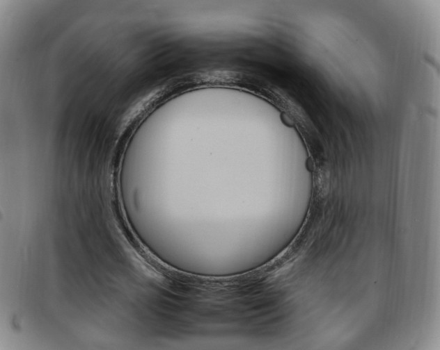 X0000097860725200803140855