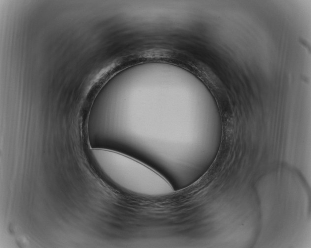 X0000097860727200803140855