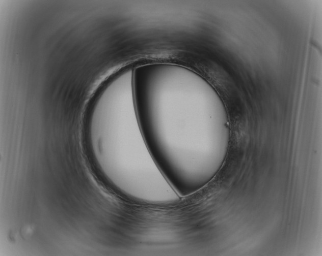 X0000097860728200803140856