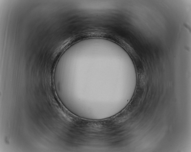 X0000097860729200803140856